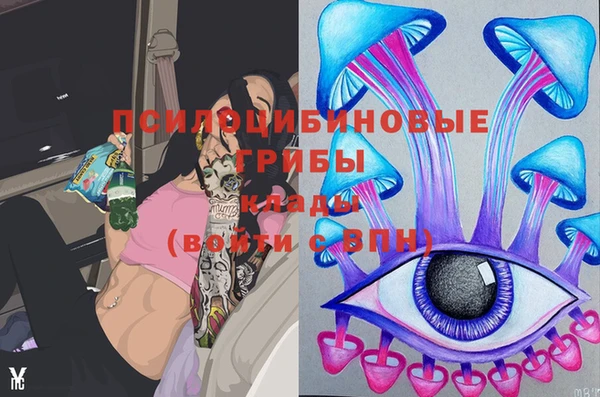 2c-b Богданович