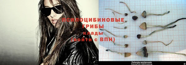 2c-b Богданович