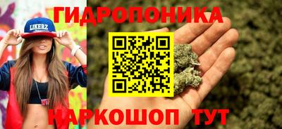 винт Можга