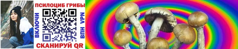 Галлюциногенные грибы Psilocybine cubensis  Вятские Поляны 